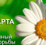 24 марта – Всемирный день борьбы с туберкулезом - Камышловский городской округ