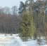 ЭКСТРЕННОЕ ПРЕДУПРЕЖДЕНИЕ - Камышловский городской округ