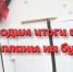 Об итогах и перспективах - Газета Камышловские известия