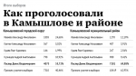 Как проголосовали в Камышлове и районе