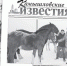 «Камышловские известия» 3 января 2026 года - Газета Камышловские известия